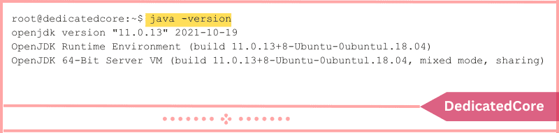 output shows the java version