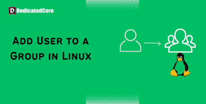 How to Add/Delete User To Linux Group {Secure Procedure}